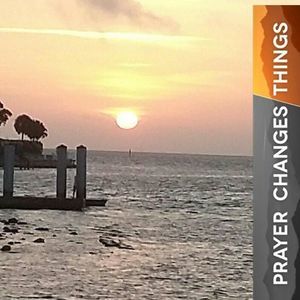 Meet your Posher, Nora